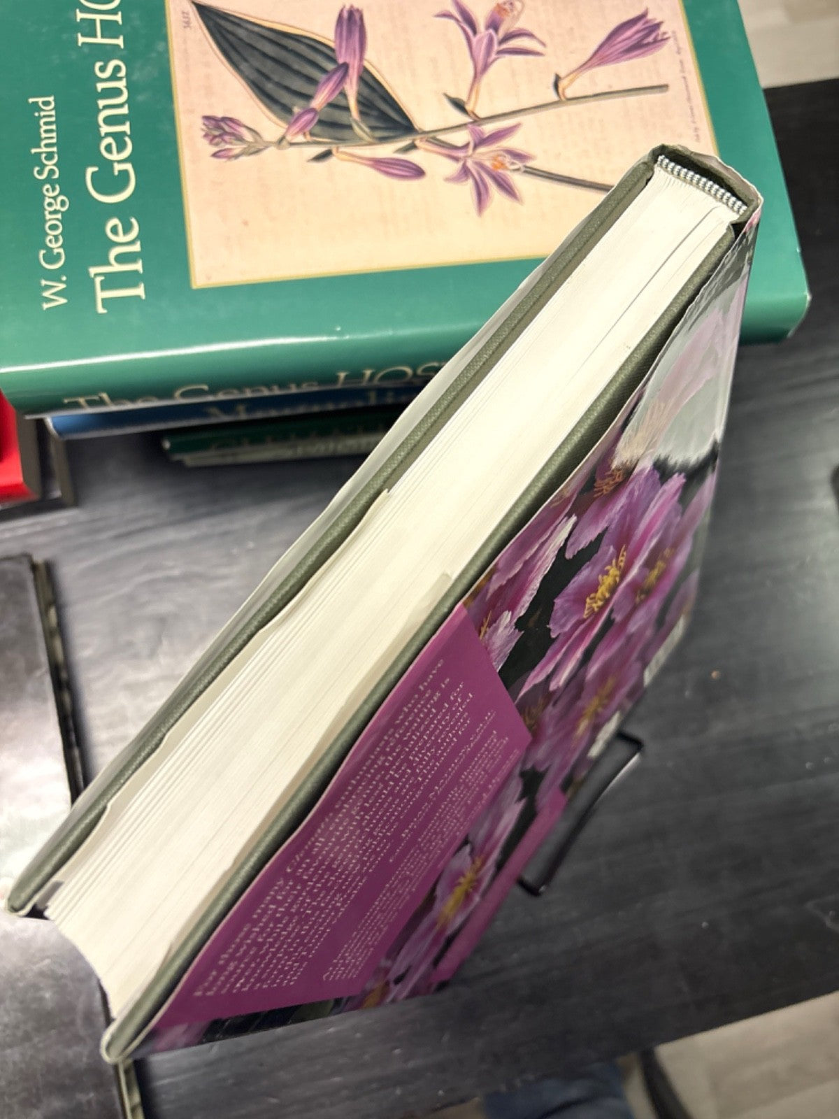 a6f12c59-3932-486c-86f7-6af6c8d7f2ac