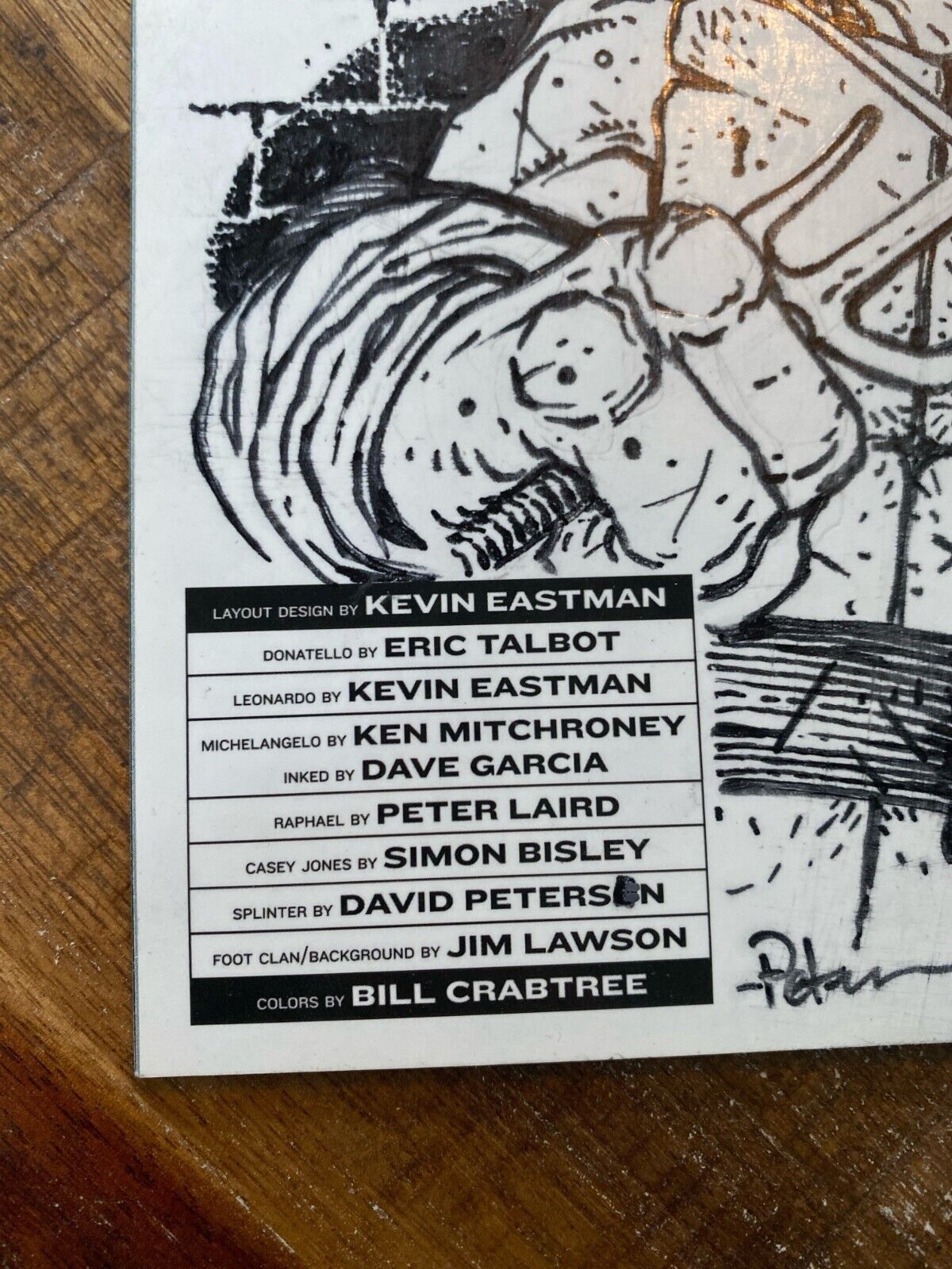 IDW Teenage Mutant Ninja Turtles #100 RE David Petersen Original Art Raphael