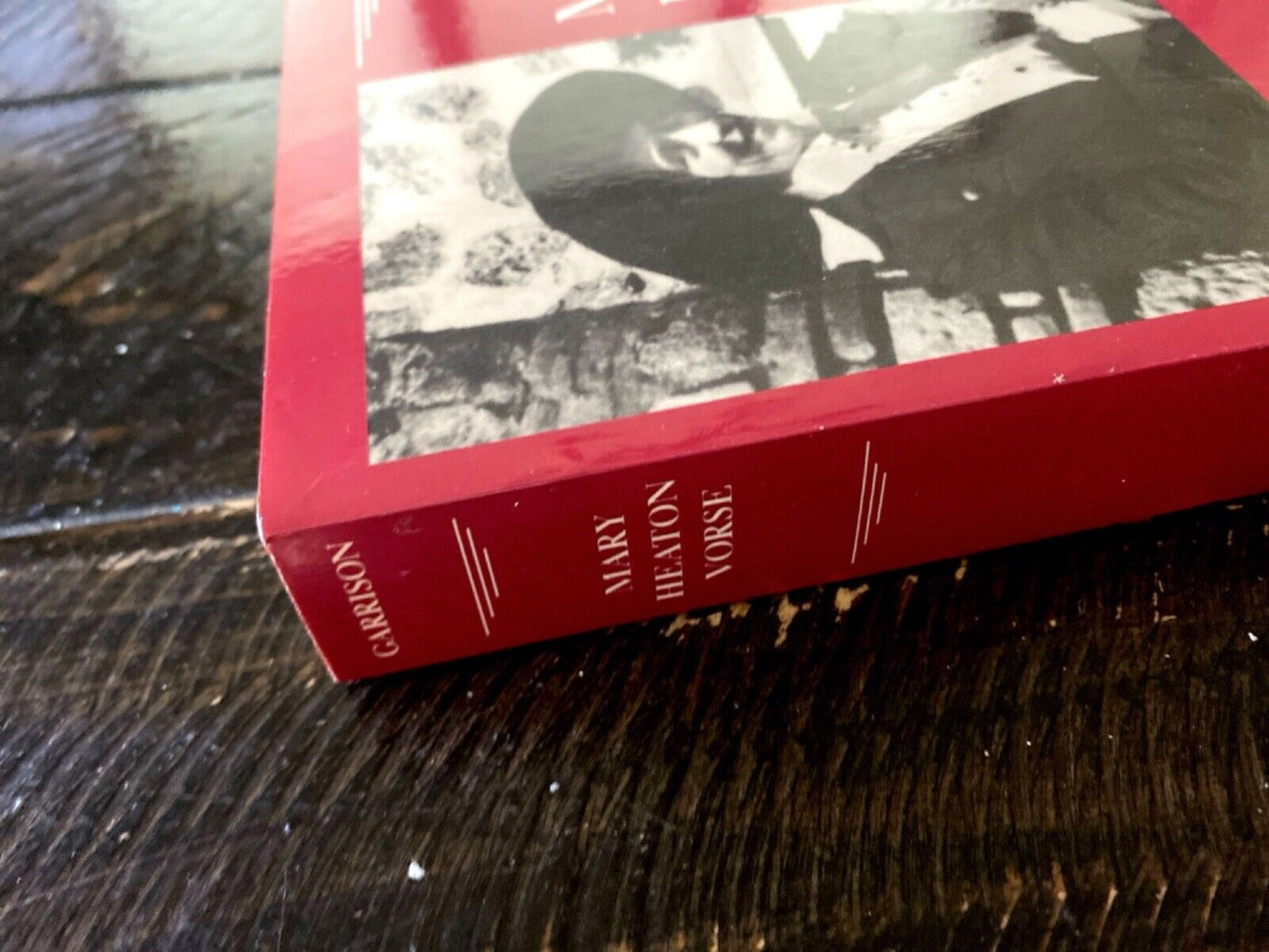 Mary Heaton Vorse The Life of an American Insurgent by Dee Garrison Temple Press