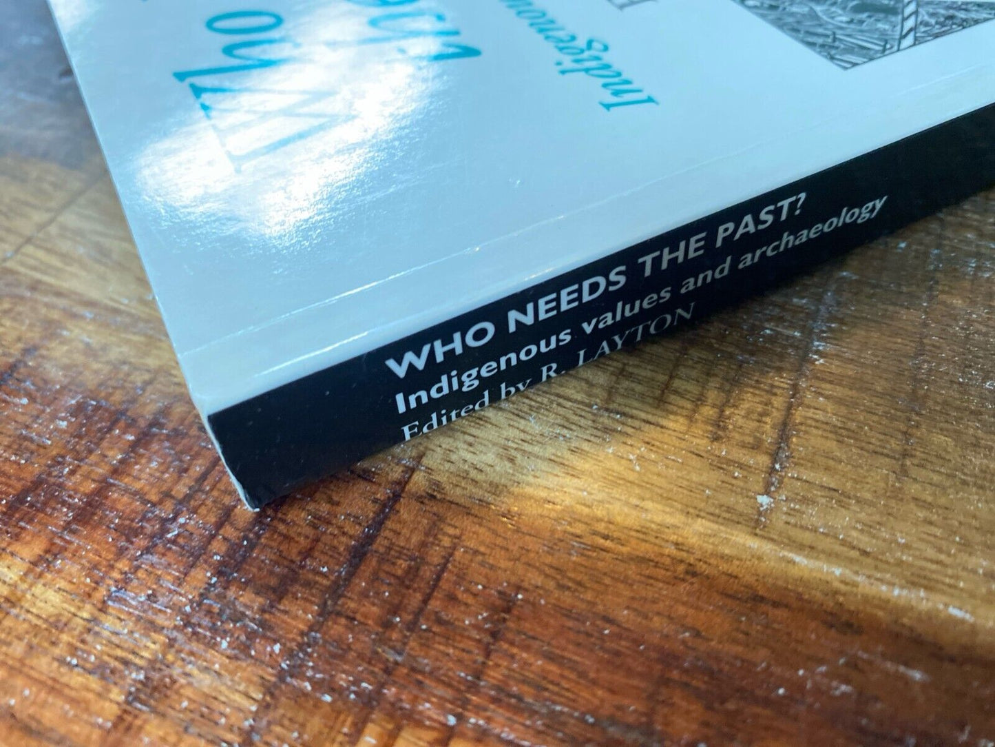 Who Needs the Past? Indigenous Values and Archaeology by Layton 1994 One World