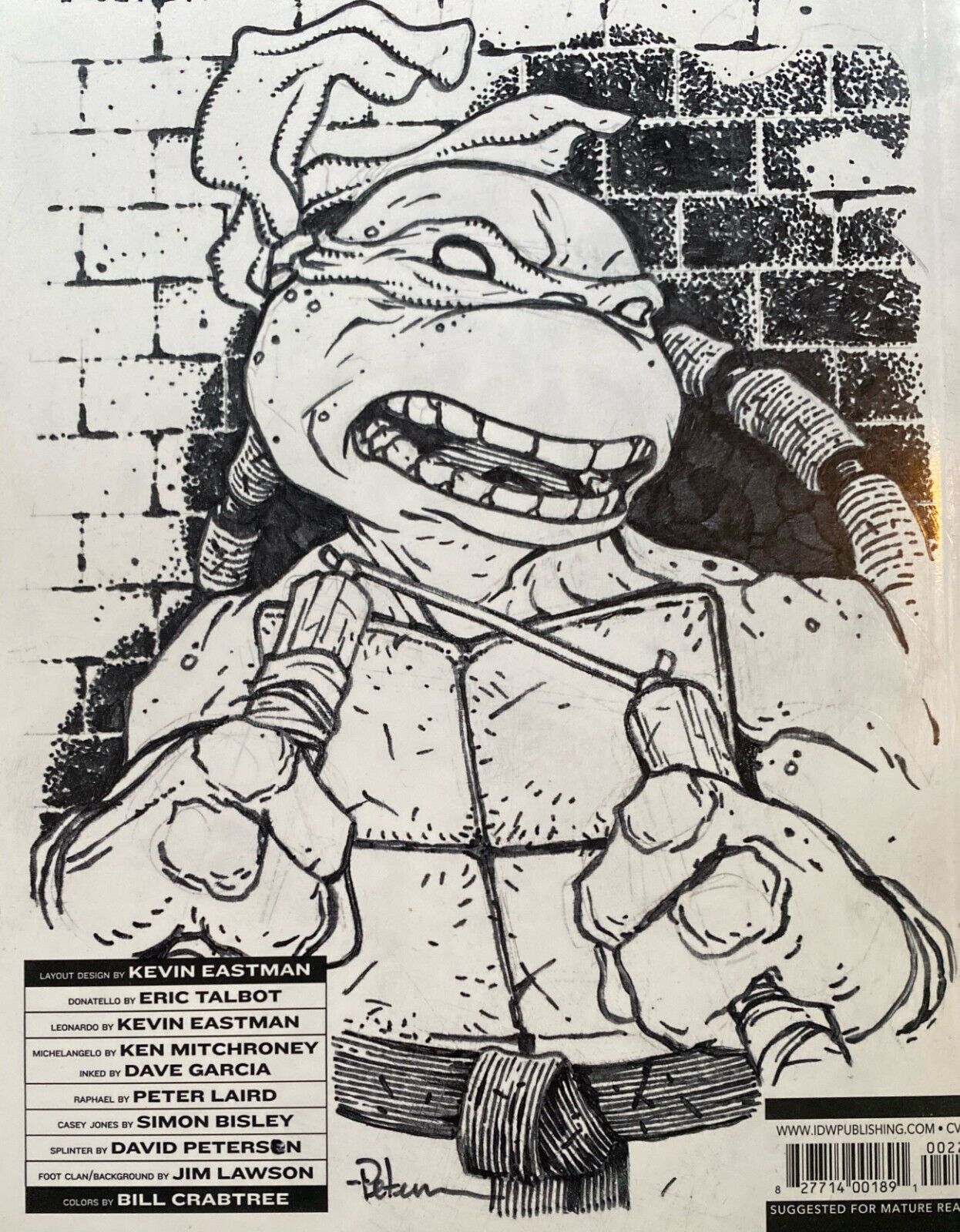 IDW Teenage Mutant Ninja Turtles #100 David Petersen Original Art Michaelangelo