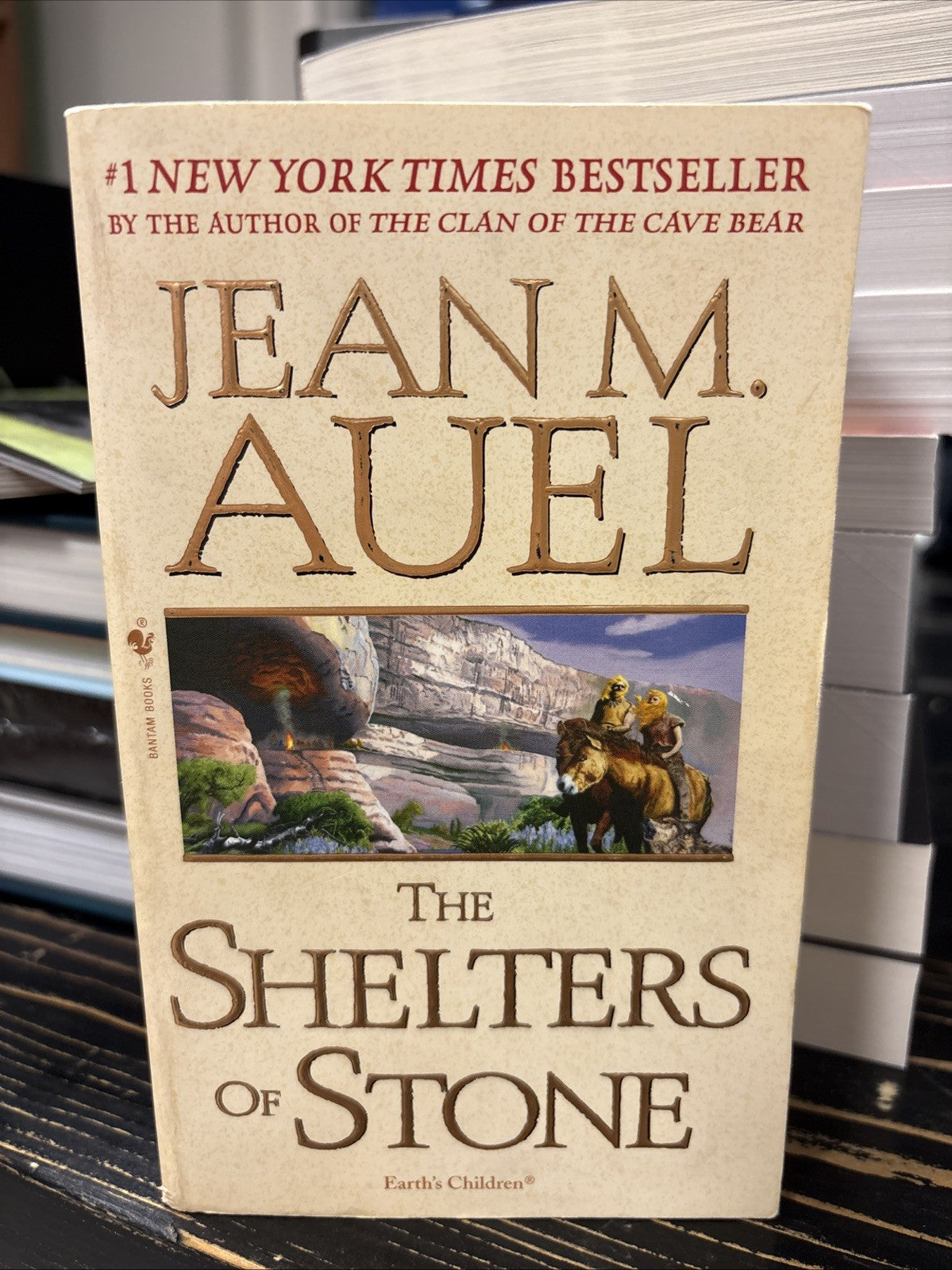 dfa45b14-47e7-4d55-8941-d6064b328314