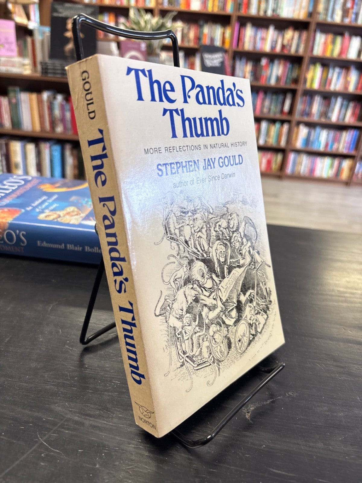 0a6a493a-7e86-41d6-9c51-321c3d08db52