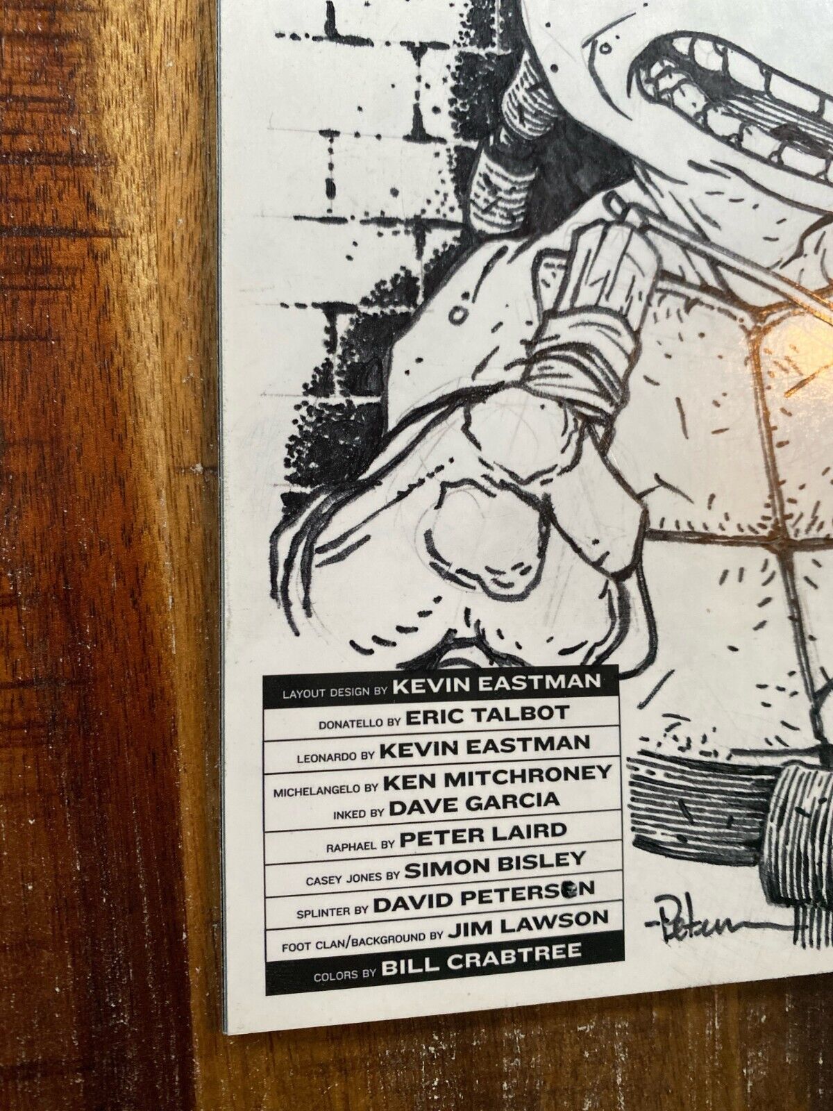 IDW Teenage Mutant Ninja Turtles #100 David Petersen Original Art Michaelangelo