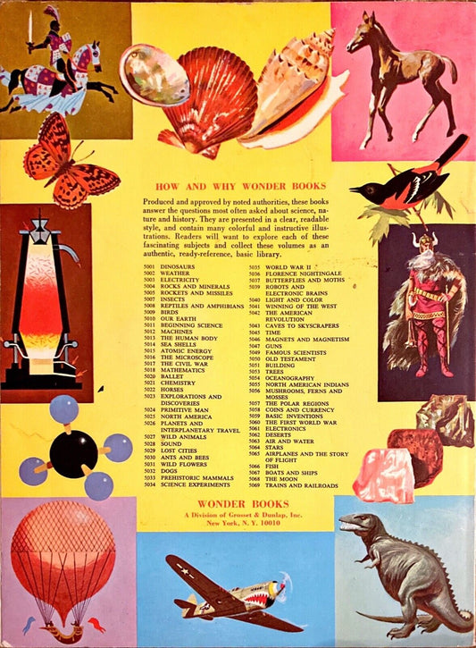 The How and Why Wonder Book of Guns by Irving Robbin 1963 Paperback