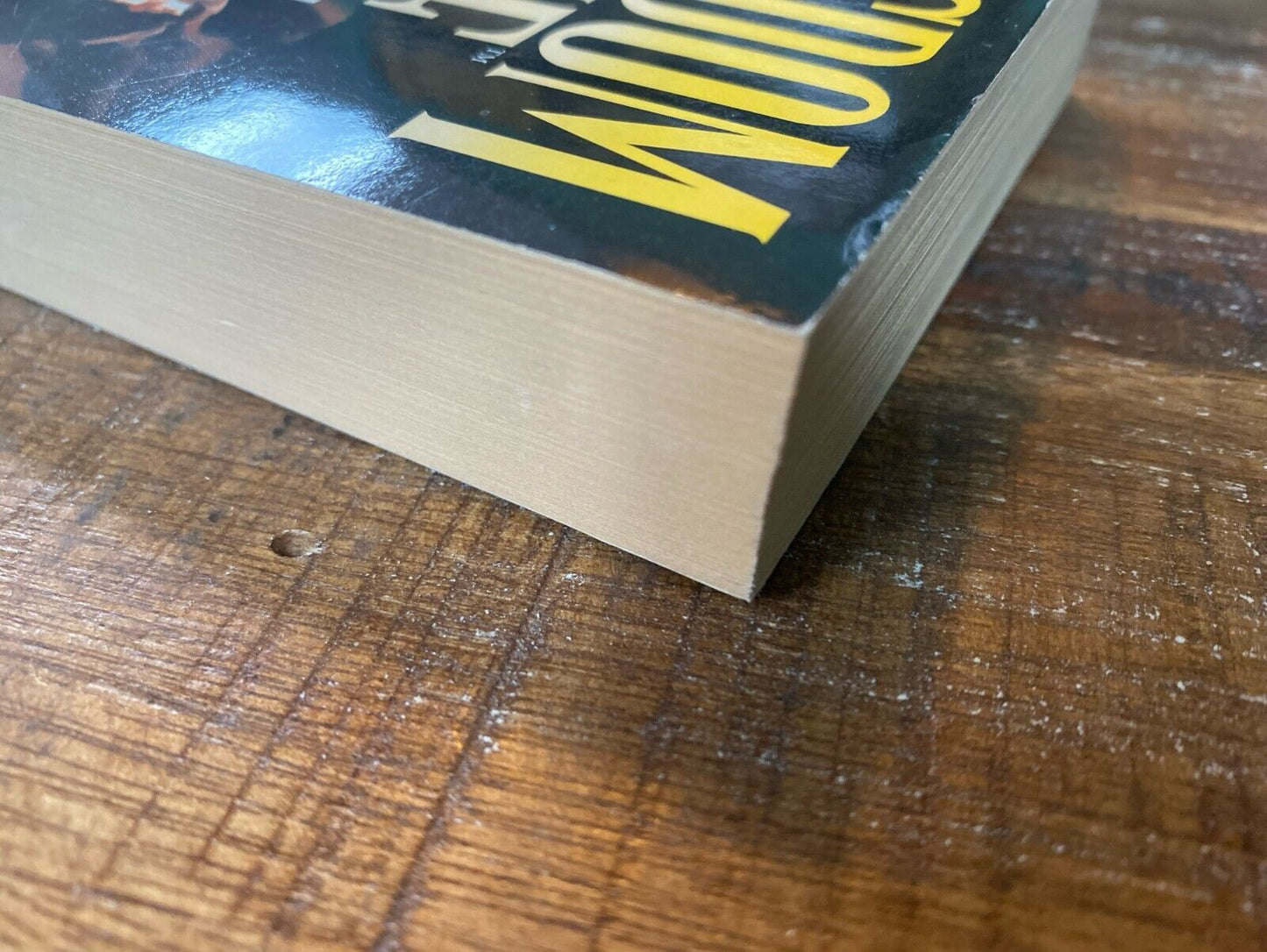 Kingdom Come by Eliot S. Maggin 1999 Aspect Paperback First