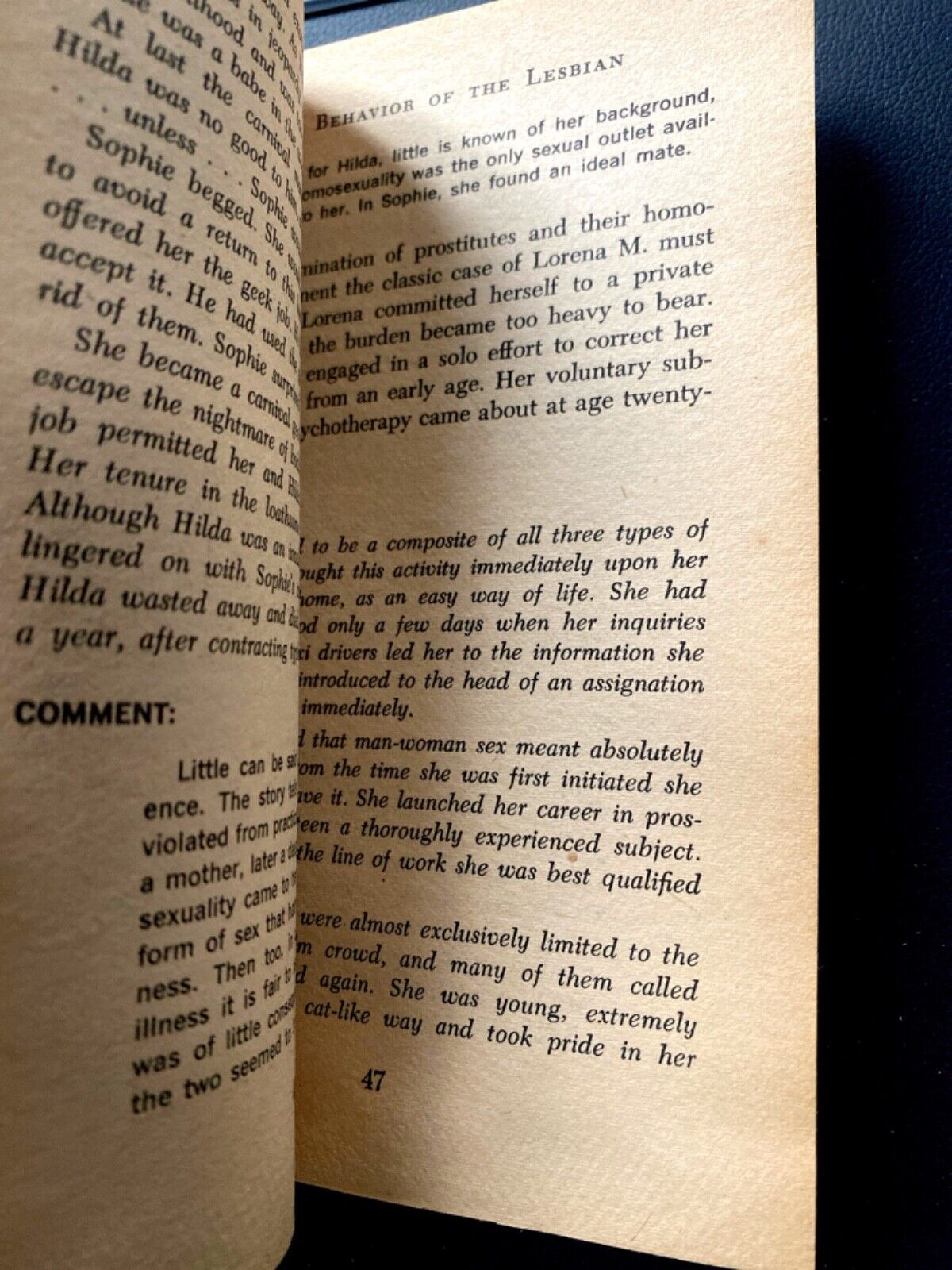 Sex Behavior of the Lesbian by Lucius B. Steiner 1964 Viceroy VP-111 Paperback