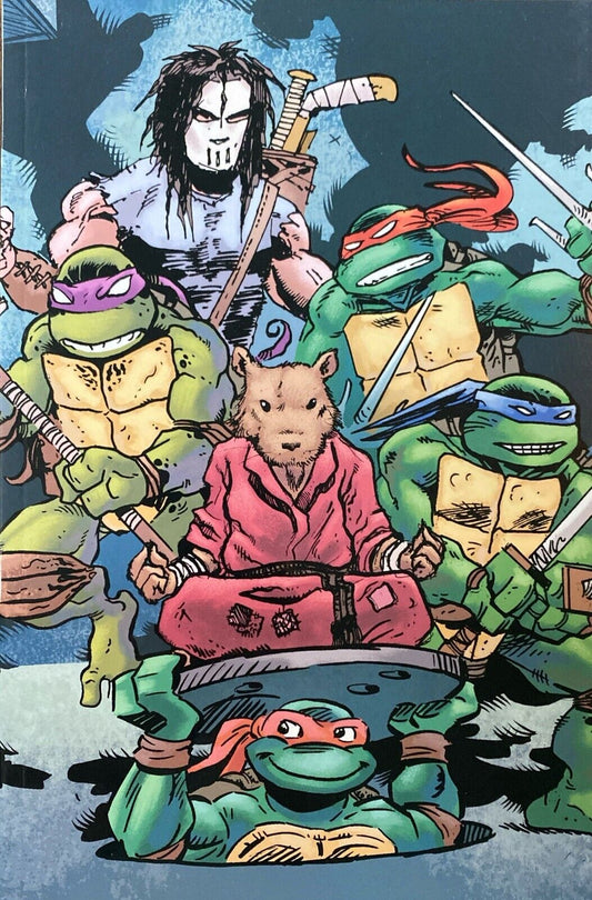 IDW Teenage Mutant Ninja Turtles #100 RE David Petersen Original Art Leonardo