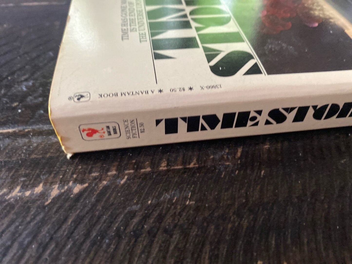Time Storm by Gordon R. Dickson 1980 Bantam Paperback
