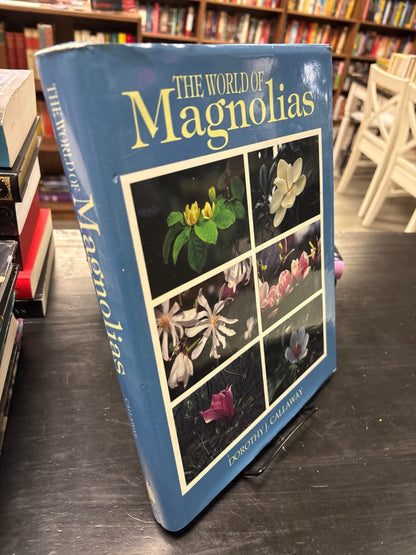 05026044-118a-44e3-9c5c-9fdd621de5c7