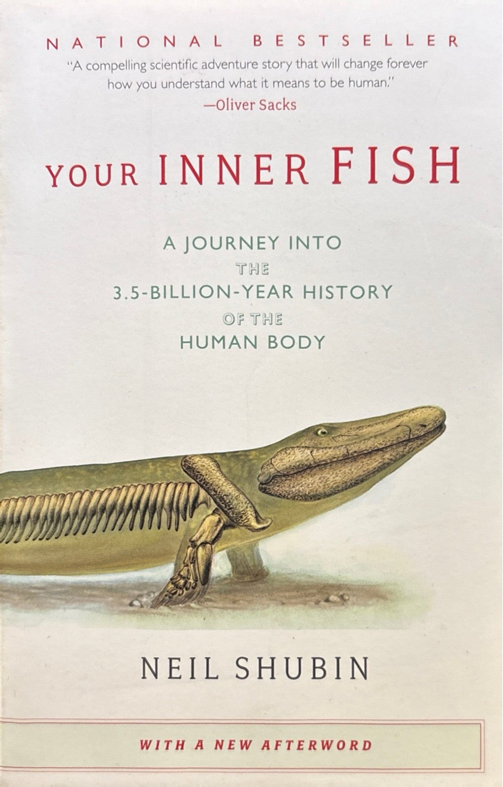 f4173652-752b-4912-bc32-3fd71ca11ce8