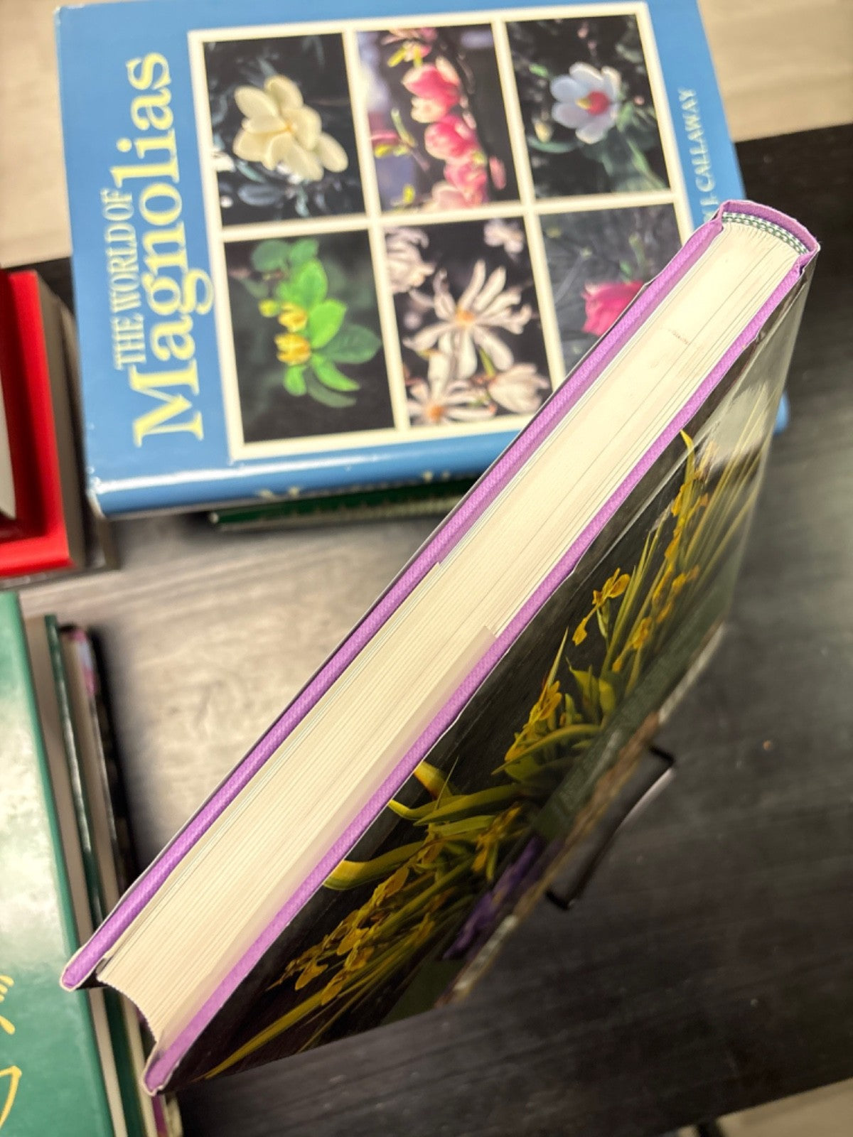 74eb4754-4541-412c-8723-8b5c6a4706c7