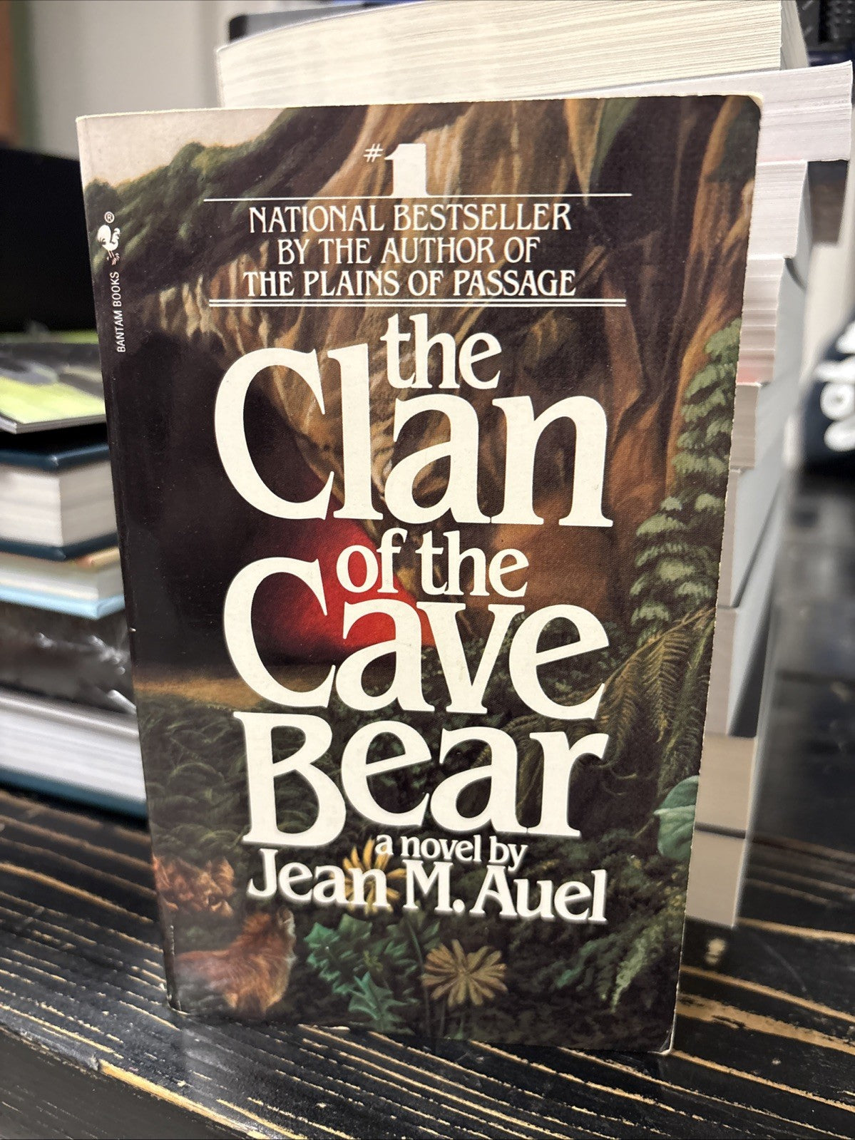 e8381273-32e8-4e70-8e77-bc165a6d75e0