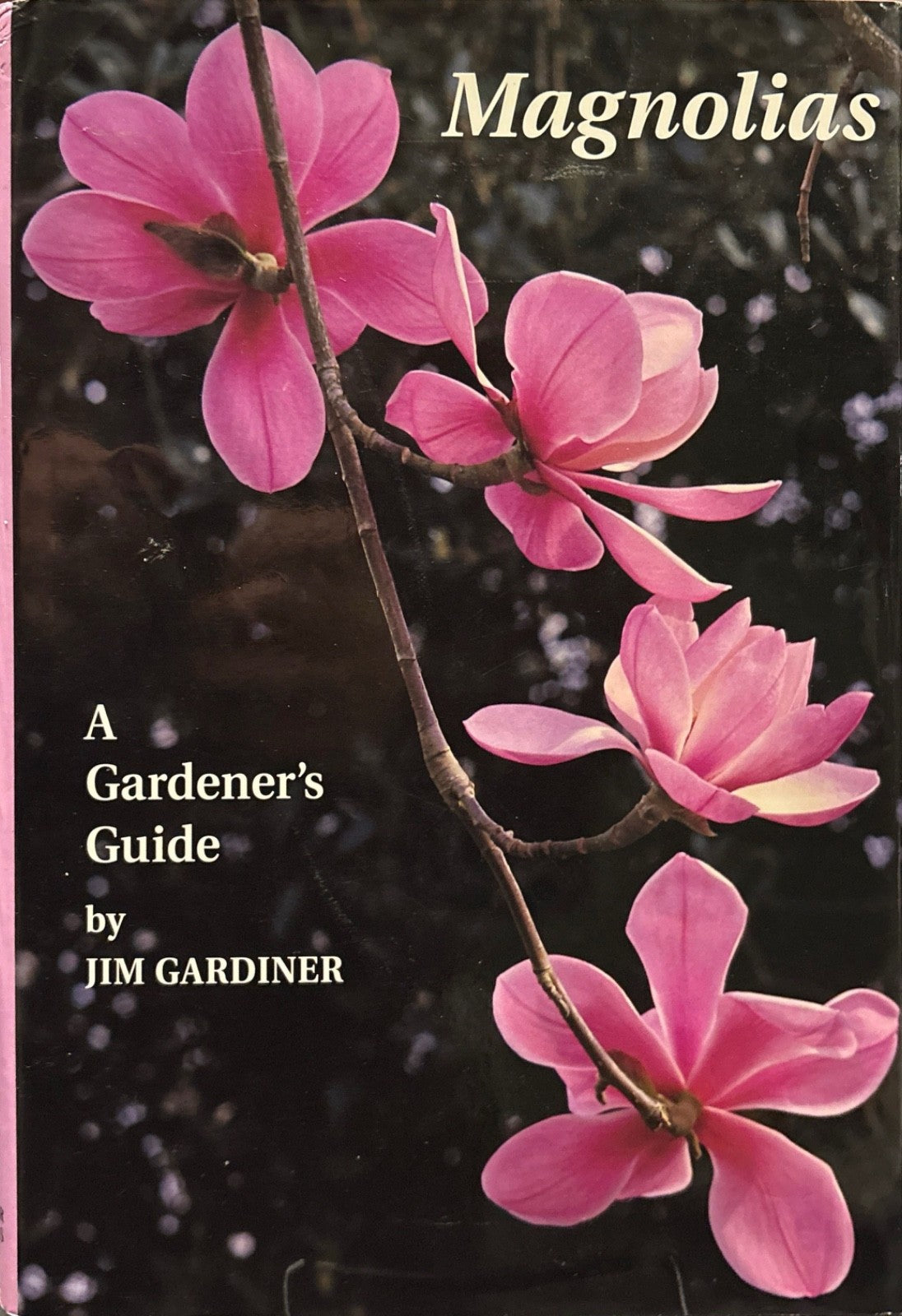 30924fdf-8e5a-4a68-8d96-a8f34b2068ef