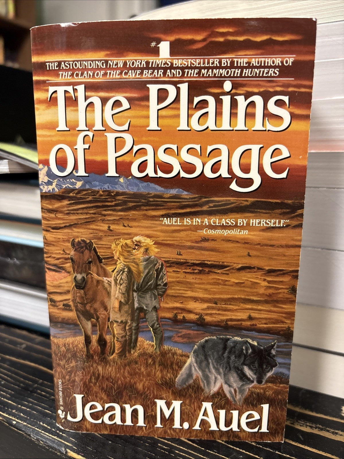 90613e06-7d4c-49ff-a5db-8f45bc772f0a