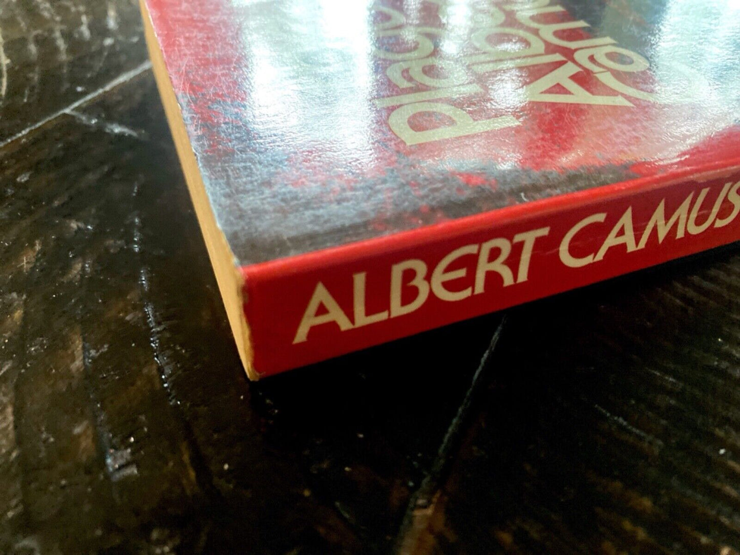 The Plague by Albert Camus 1972 Vintage V-258 Paperback