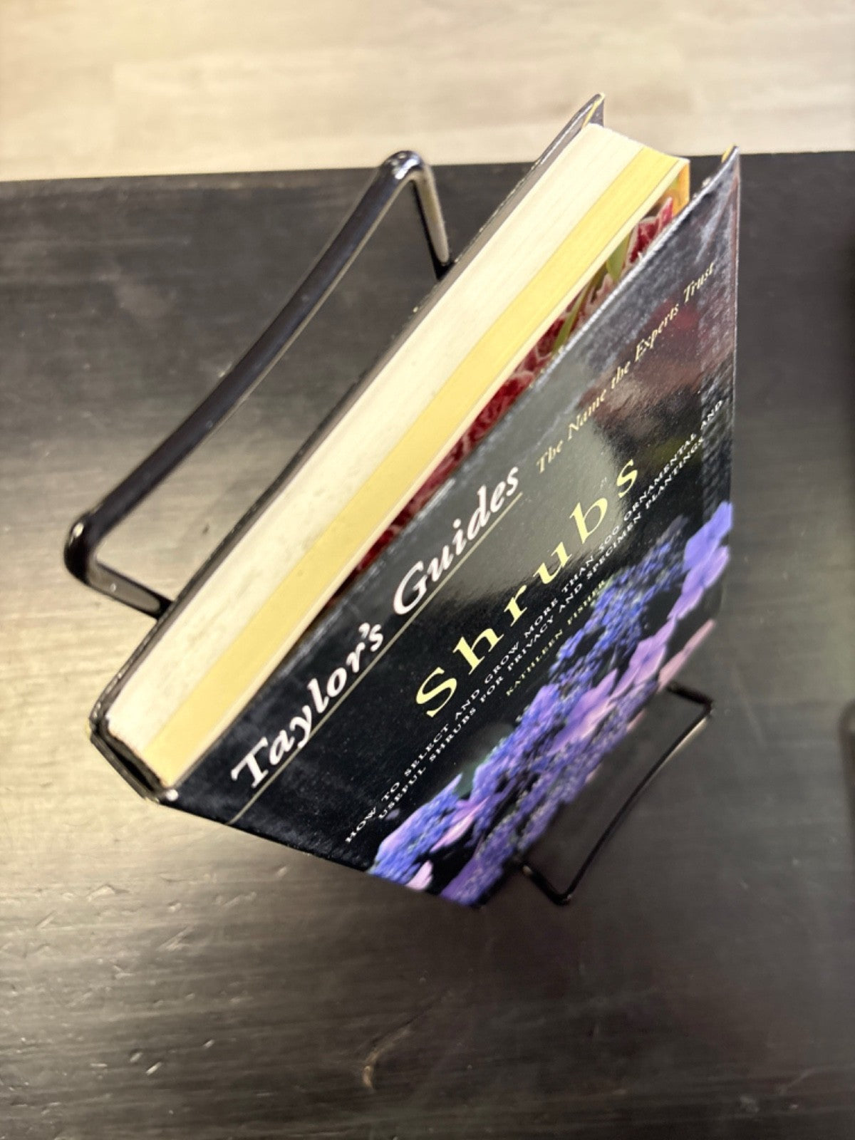 ef295169-0c04-4da6-bd5f-c6a7113dc38f