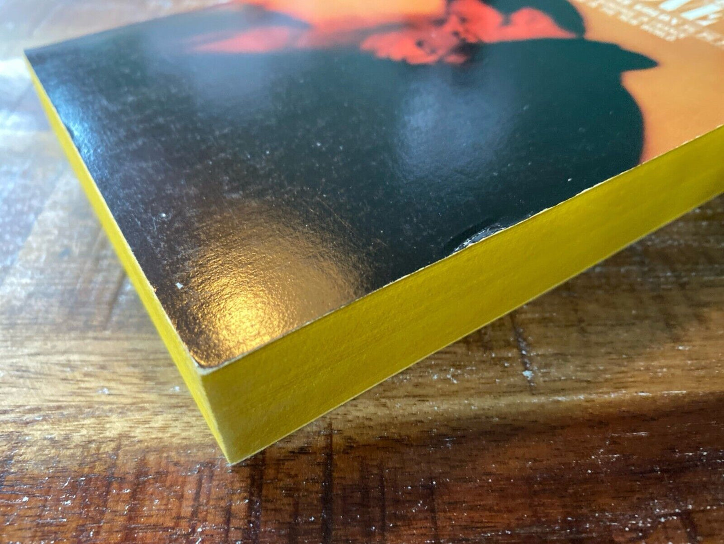 Angelique in Love by Sergeanne Golon 1966 Bantam N3003 Paperback