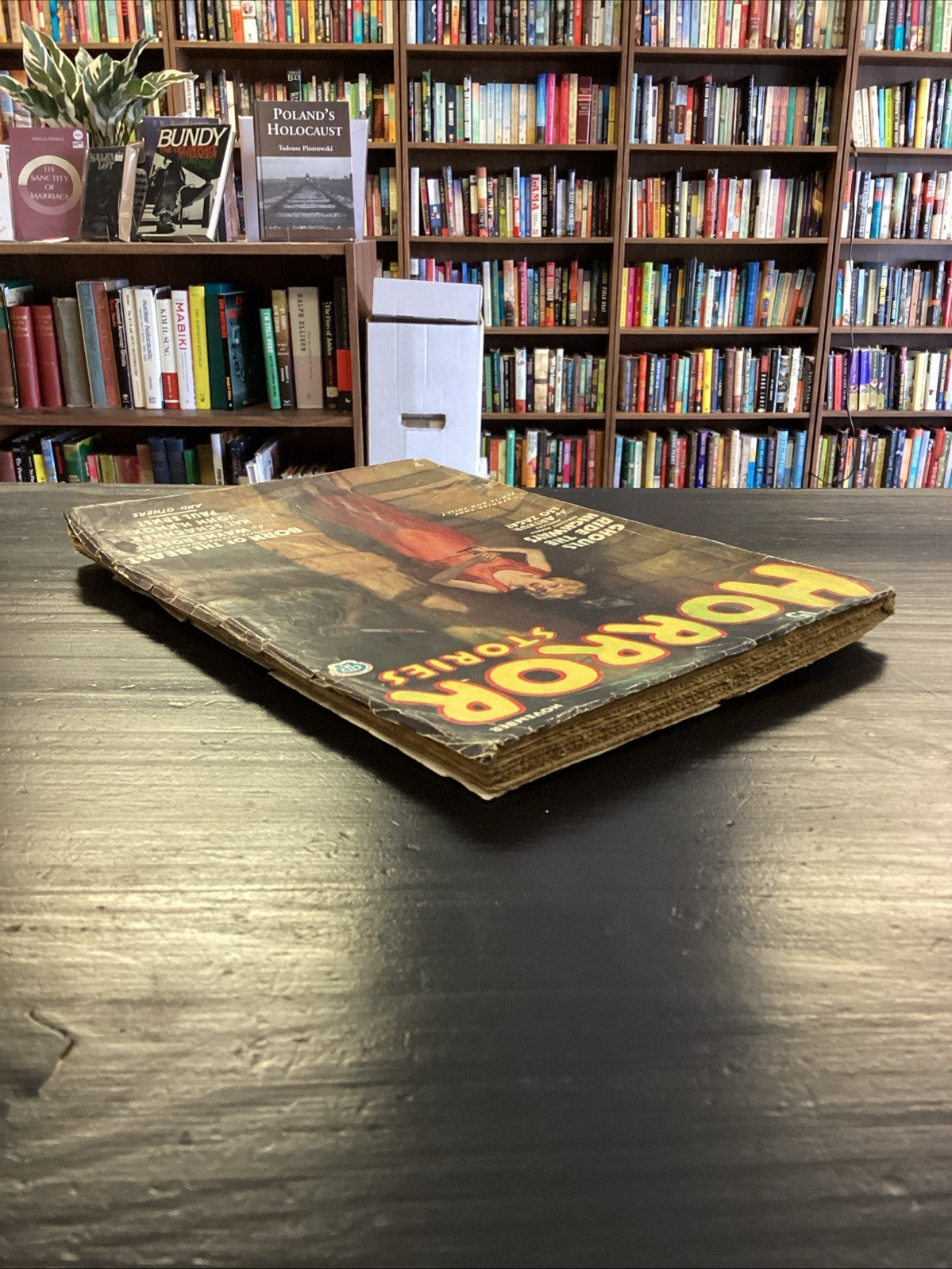 23f9608d-7030-4f67-8b14-497a0a13bcd8