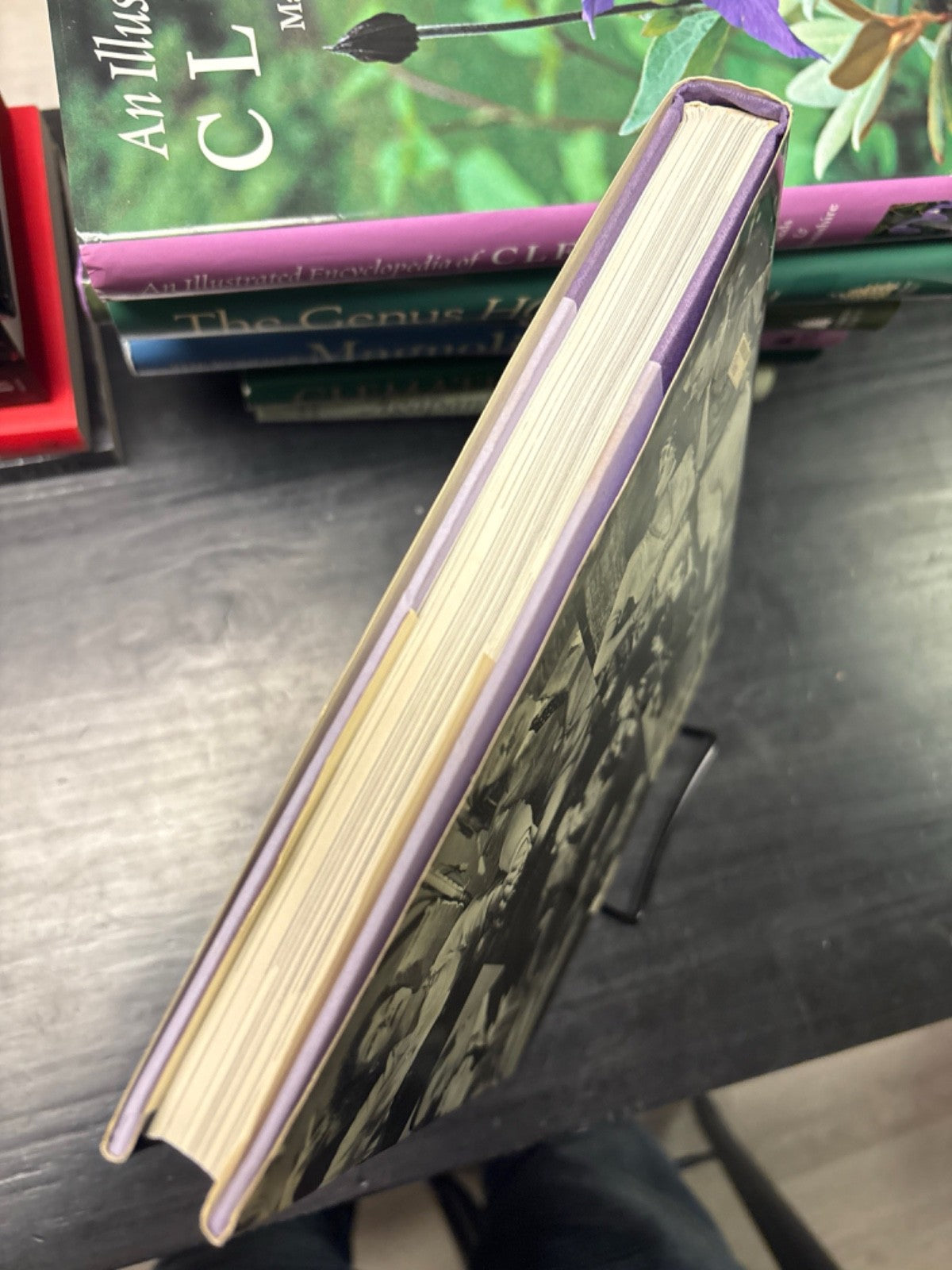 4aa1f2be-bfa7-49e6-84f3-fc0842afc35b