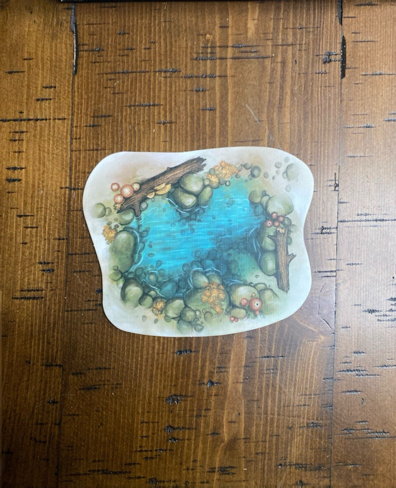 Evolution: The Beginning Board Game 2017 North Star Games Complete