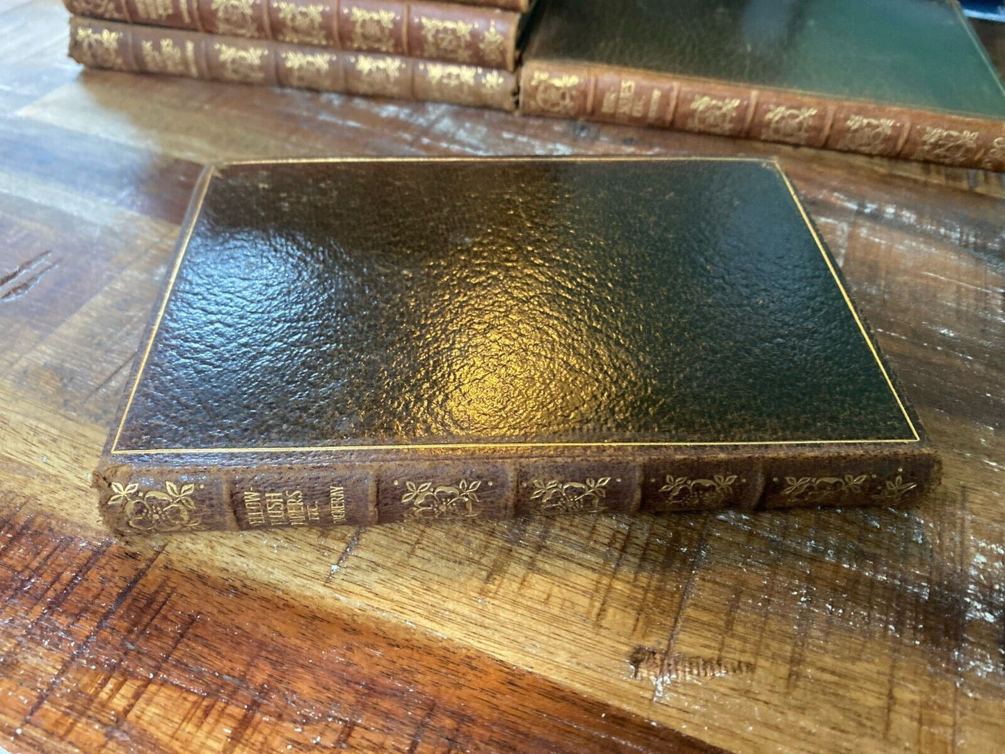 The Yellowplush Papers Etc. by W.M. Thackeray 1904 New Century Library Leather