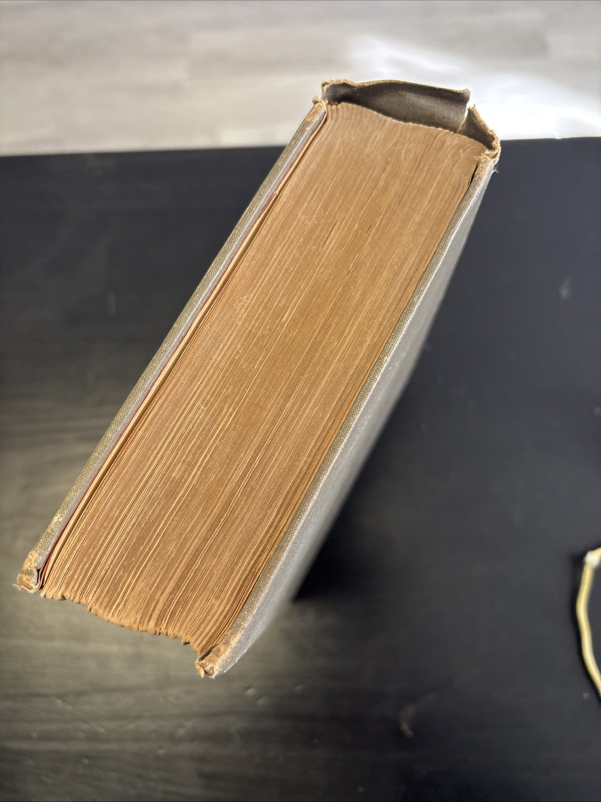 197e08d7-6647-4834-ae5c-bc0ccedf7eeb