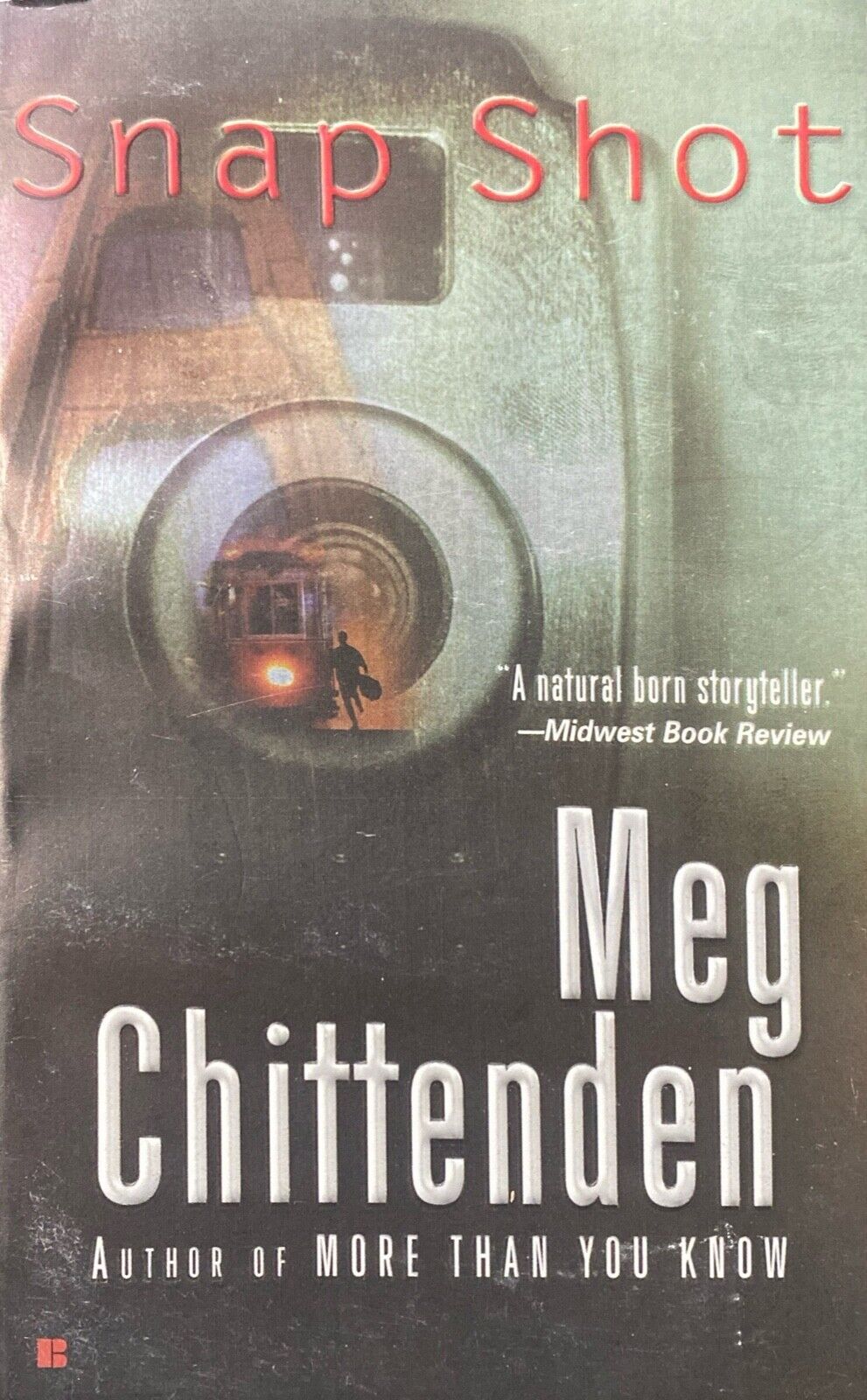 Snap Shot by Meg Chittenden 2004 Berkley Paperback