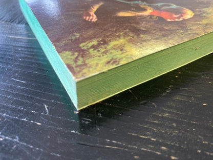 The Image Seller by Kate Ostrander 1974 Popular Library Paperback