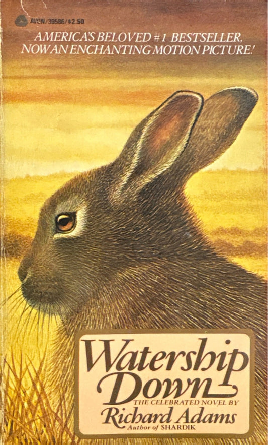 cf5009b3-42c6-44bc-aa9f-745c697d8f87