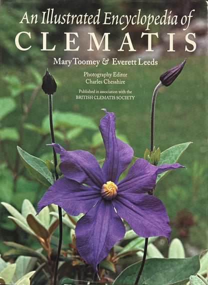 96ae105d-01d3-469b-a072-40596405d4c6