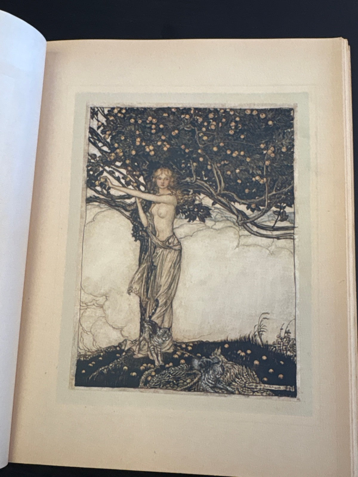 3fb18a88-76bf-4d55-af1a-aef7200d5d9d