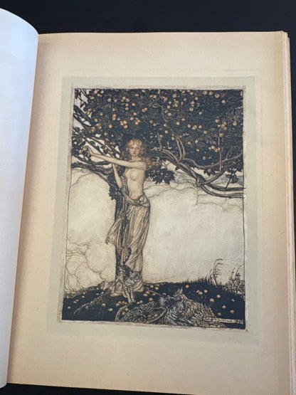 3fb18a88-76bf-4d55-af1a-aef7200d5d9d