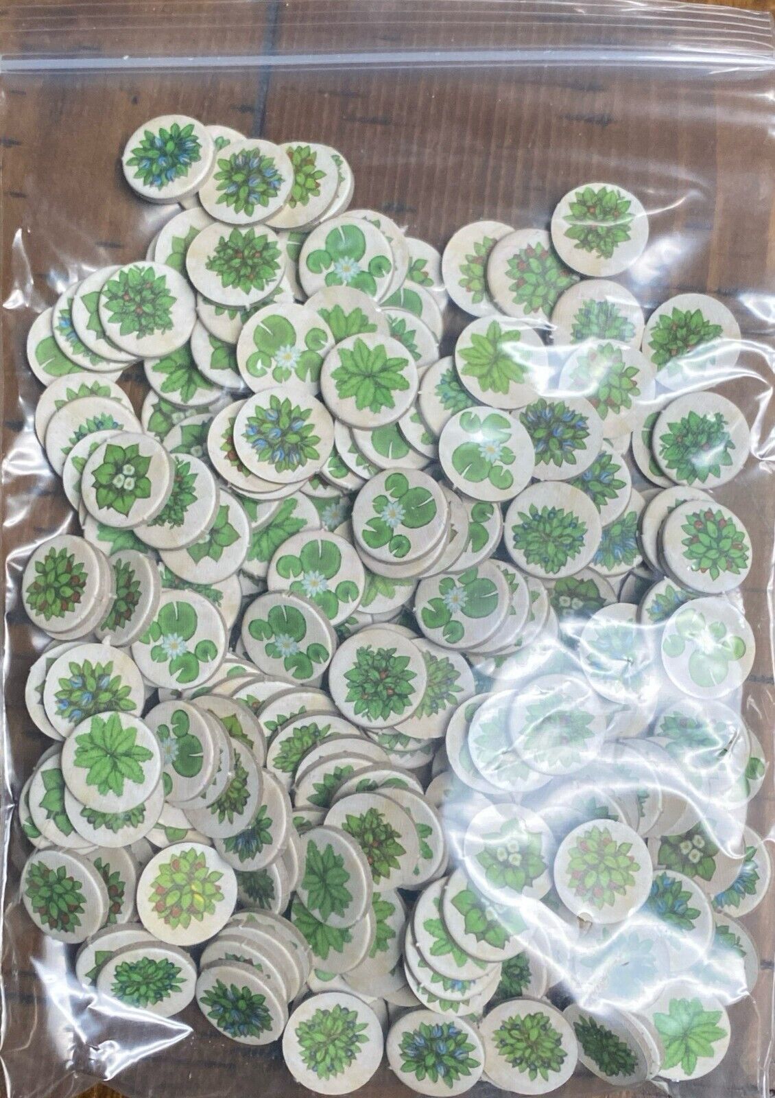 Evolution: The Beginning Board Game 2017 North Star Games Complete