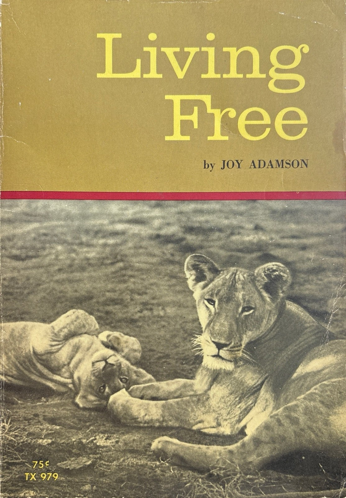 1bcd0563-4419-49be-a044-a534f77a70a6