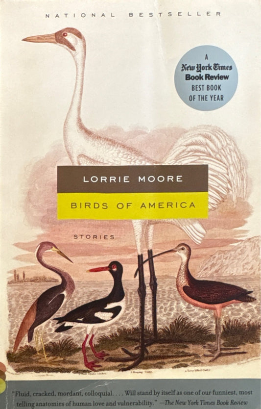 b7b20665-5d98-4e1d-a409-086833851324