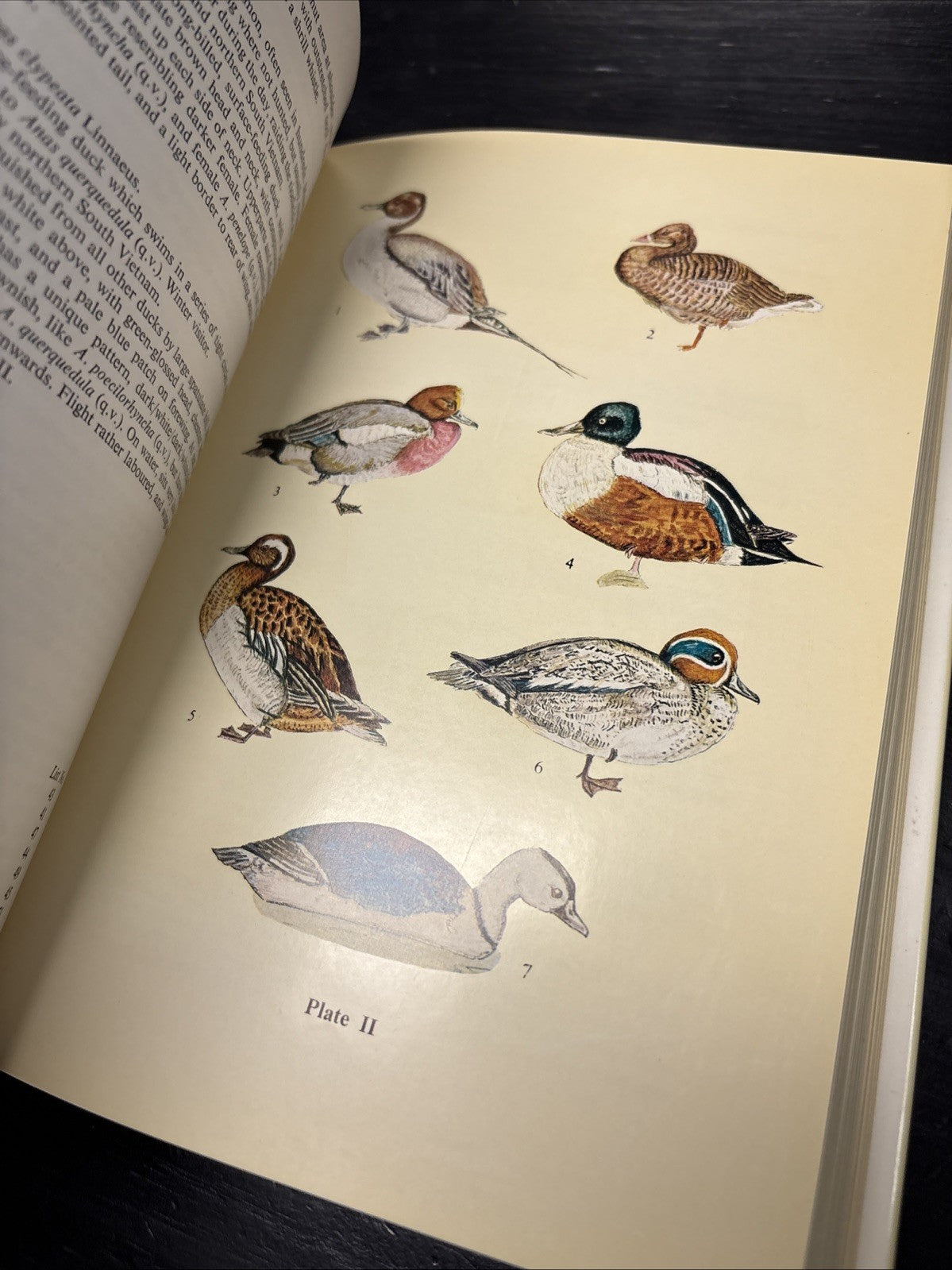 4e137593-b543-4e53-95eb-b3731d5afc70