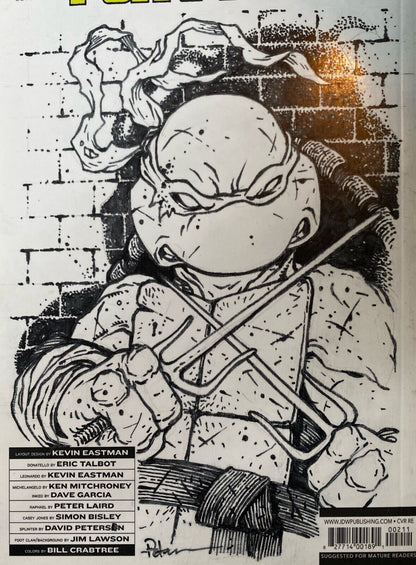 IDW Teenage Mutant Ninja Turtles #100 RE David Petersen Original Art Raphael