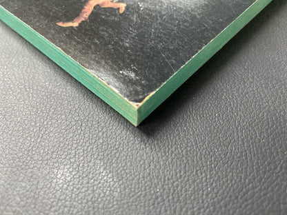 The Big Country by Donald Hamilton 1971 Dell 0848 Paperback First Print