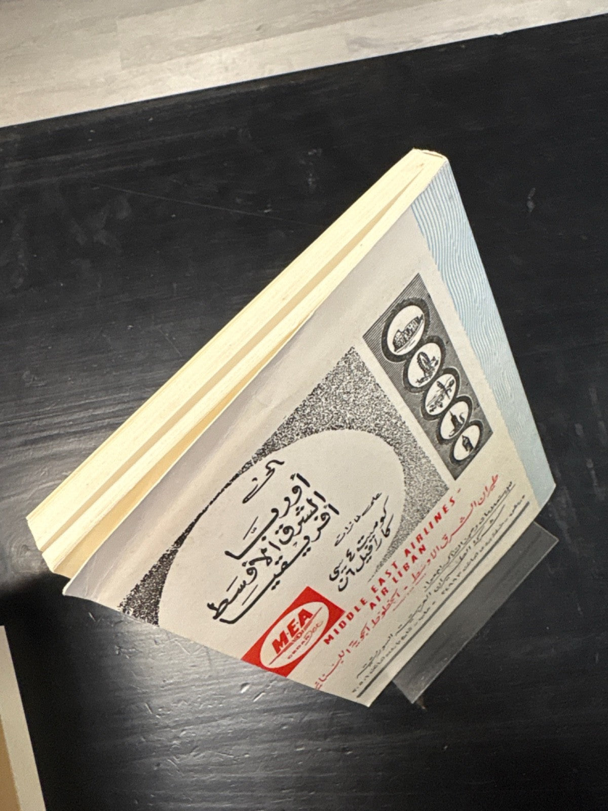 3e6679b2-751c-4667-897f-03ecf9855073