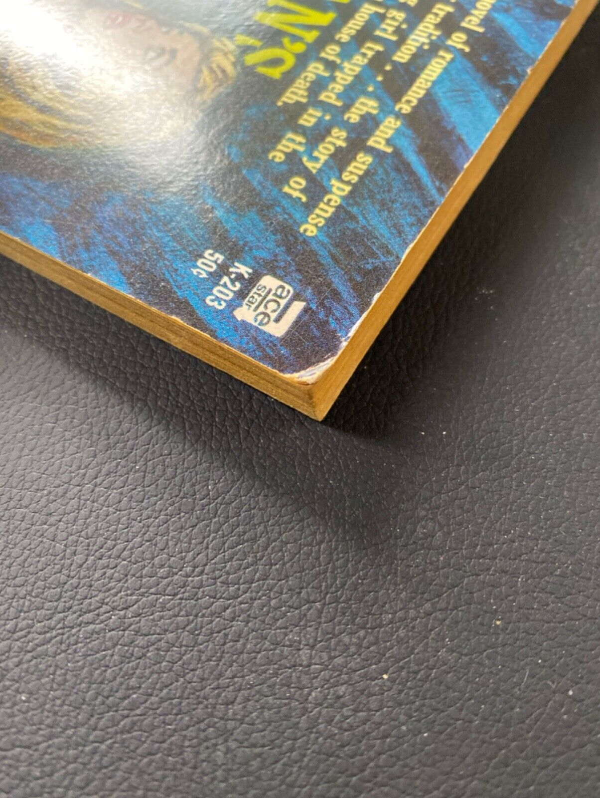 Morgan's Castle by Jan Hilliard 1964 Ace K-203 Paperback