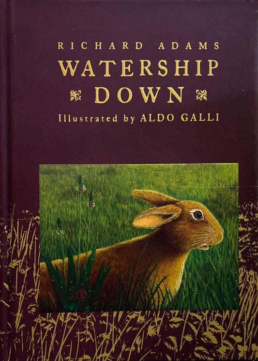 49668b83-fdf1-44a0-9583-0ada185625a3