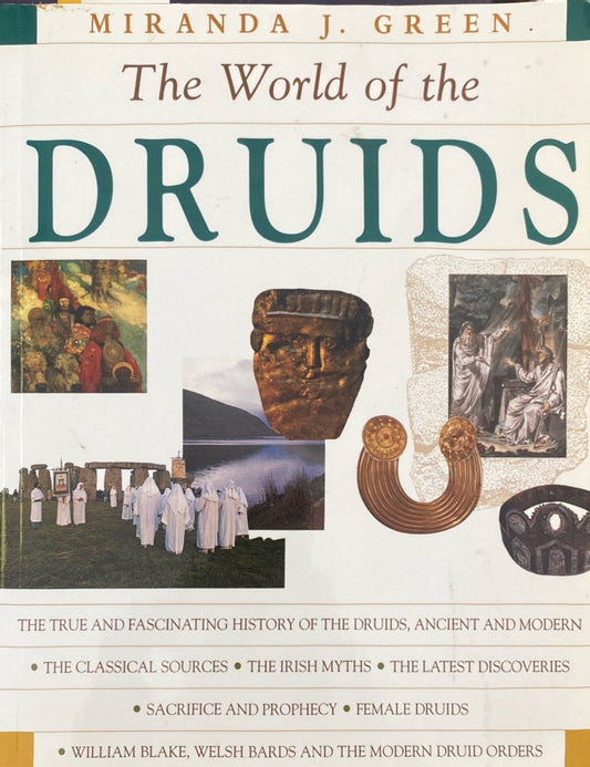 The World of the Druids by Miranda J. Green 1997 Thames & Hudson Trade Paperback
