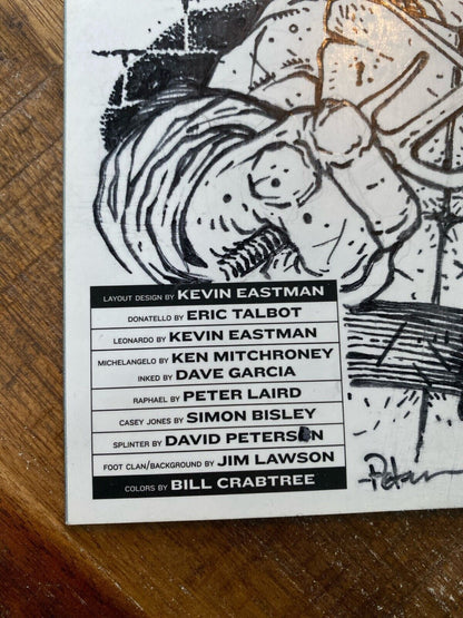 IDW Teenage Mutant Ninja Turtles #100 RE David Petersen Original Art Raphael