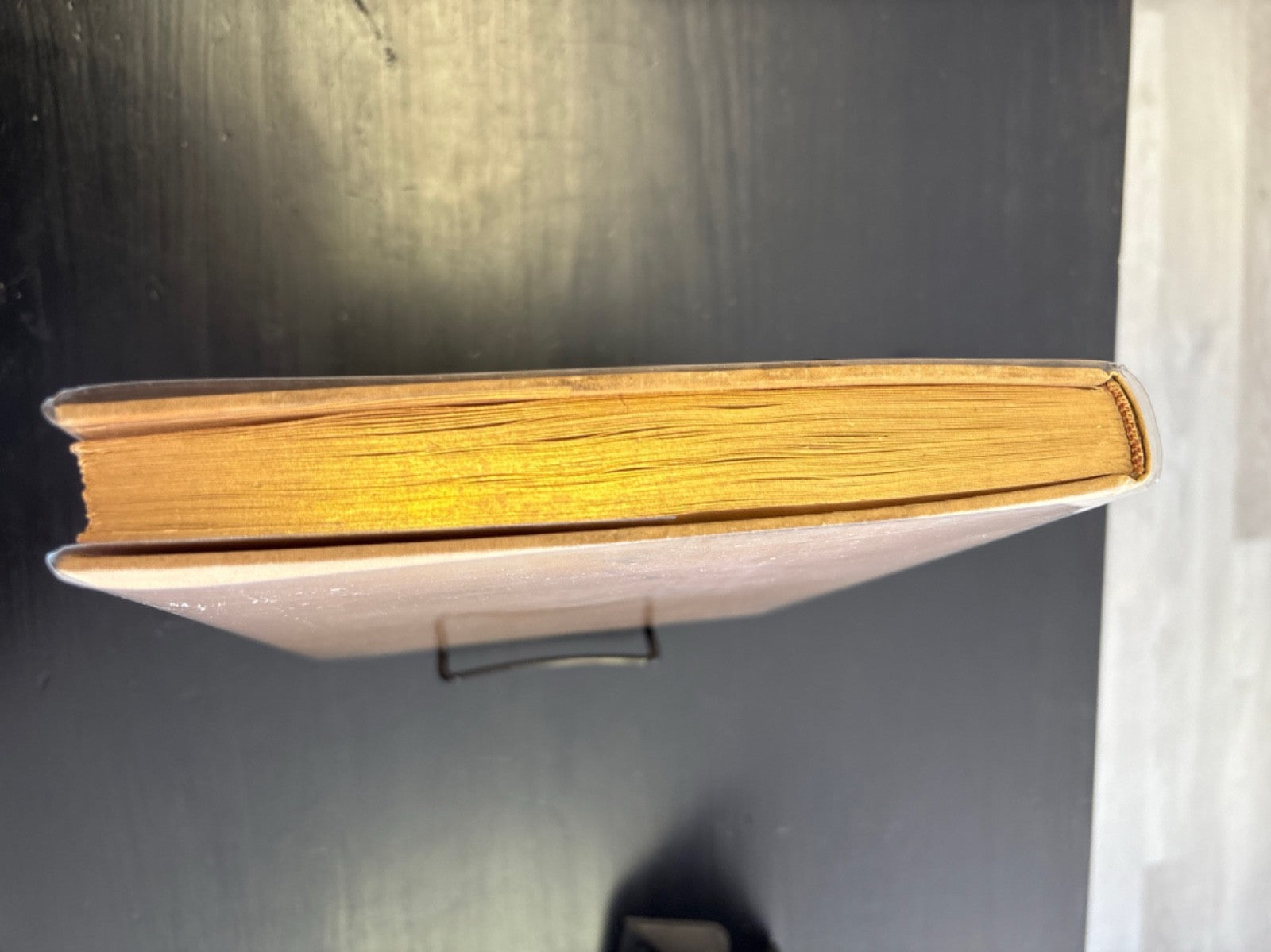 d0b9256b-aee9-4d43-807b-3ddb8b0c1391