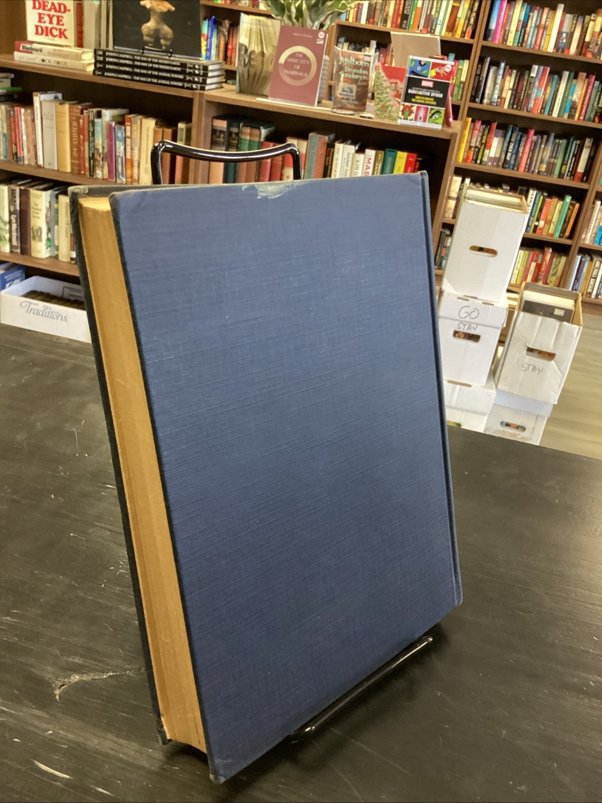 47648b78-e39a-4bda-a435-ed0e7f1a5f39