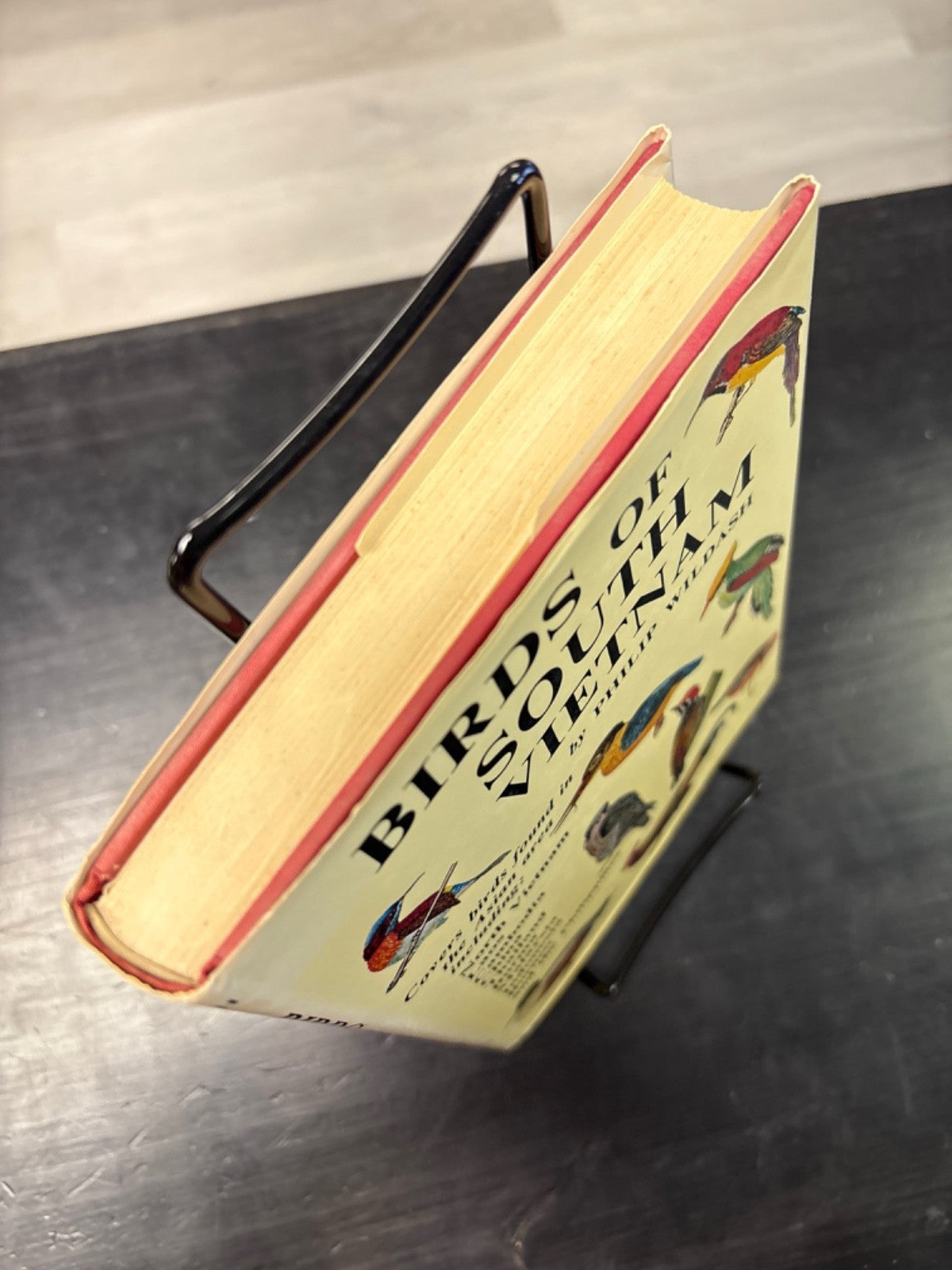 348e4157-3091-4f0b-95ce-304af9374845