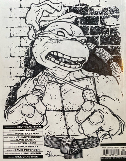 IDW Teenage Mutant Ninja Turtles #100 David Petersen Original Art Michaelangelo