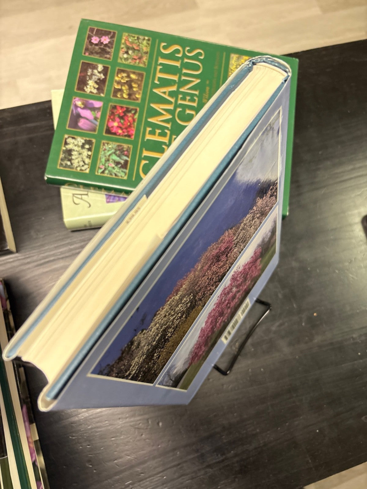 4cd13b00-61ad-40ff-aff4-0721d1242c06