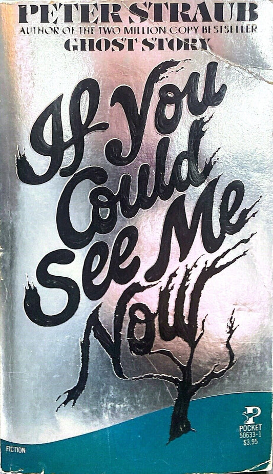 If You Could See Me Now by Peter Straub 1983 Pocket Paperback